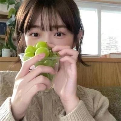 史迪奇头